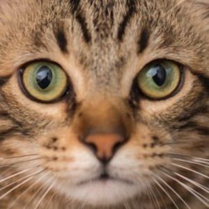 Meet your Posher, Alejandro